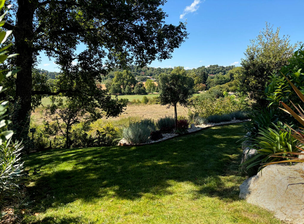 Pelouse ombragée par un grand arbre, ouverte sur la campagne