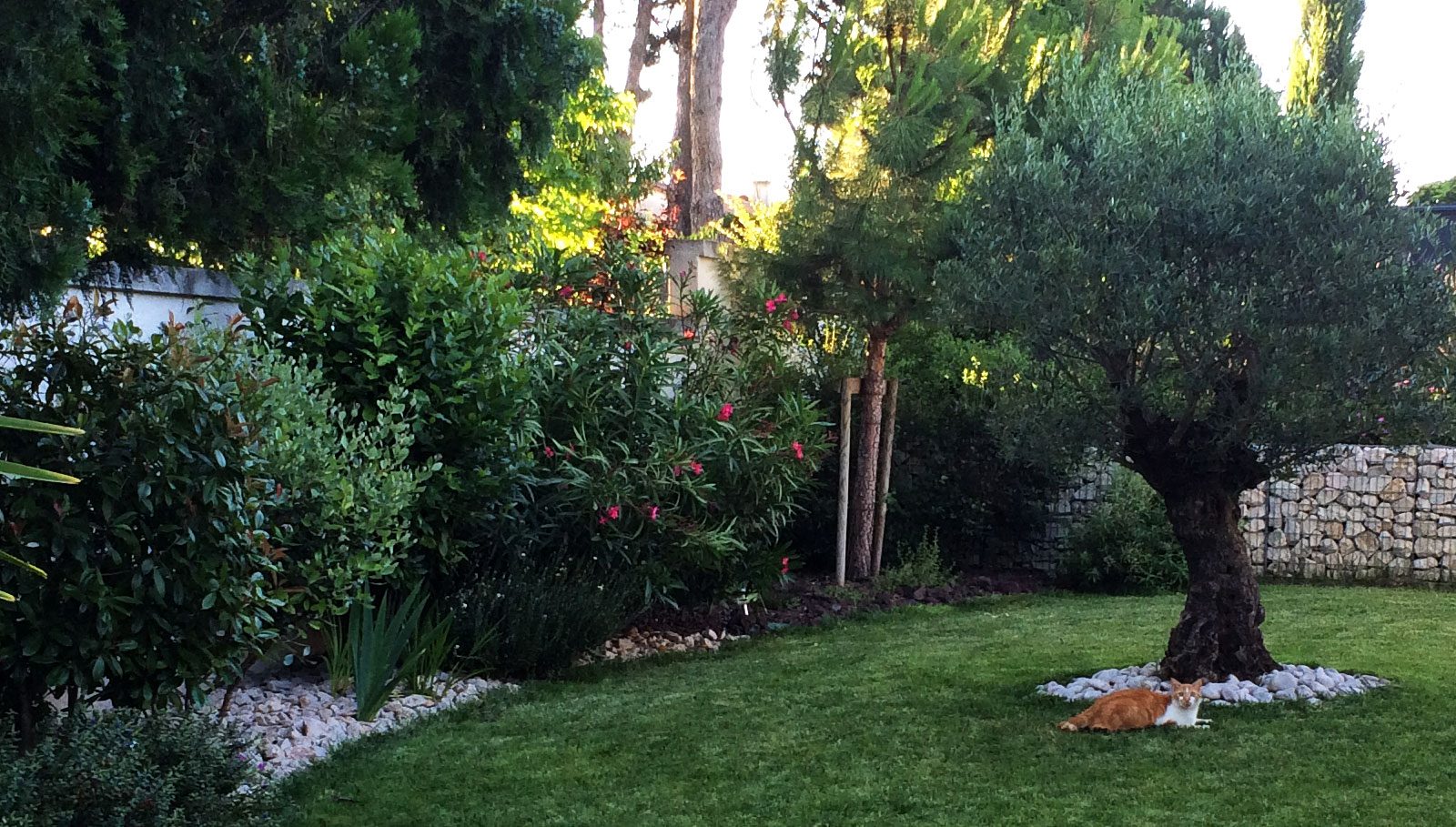 Galerie_allee_cavaliere_5