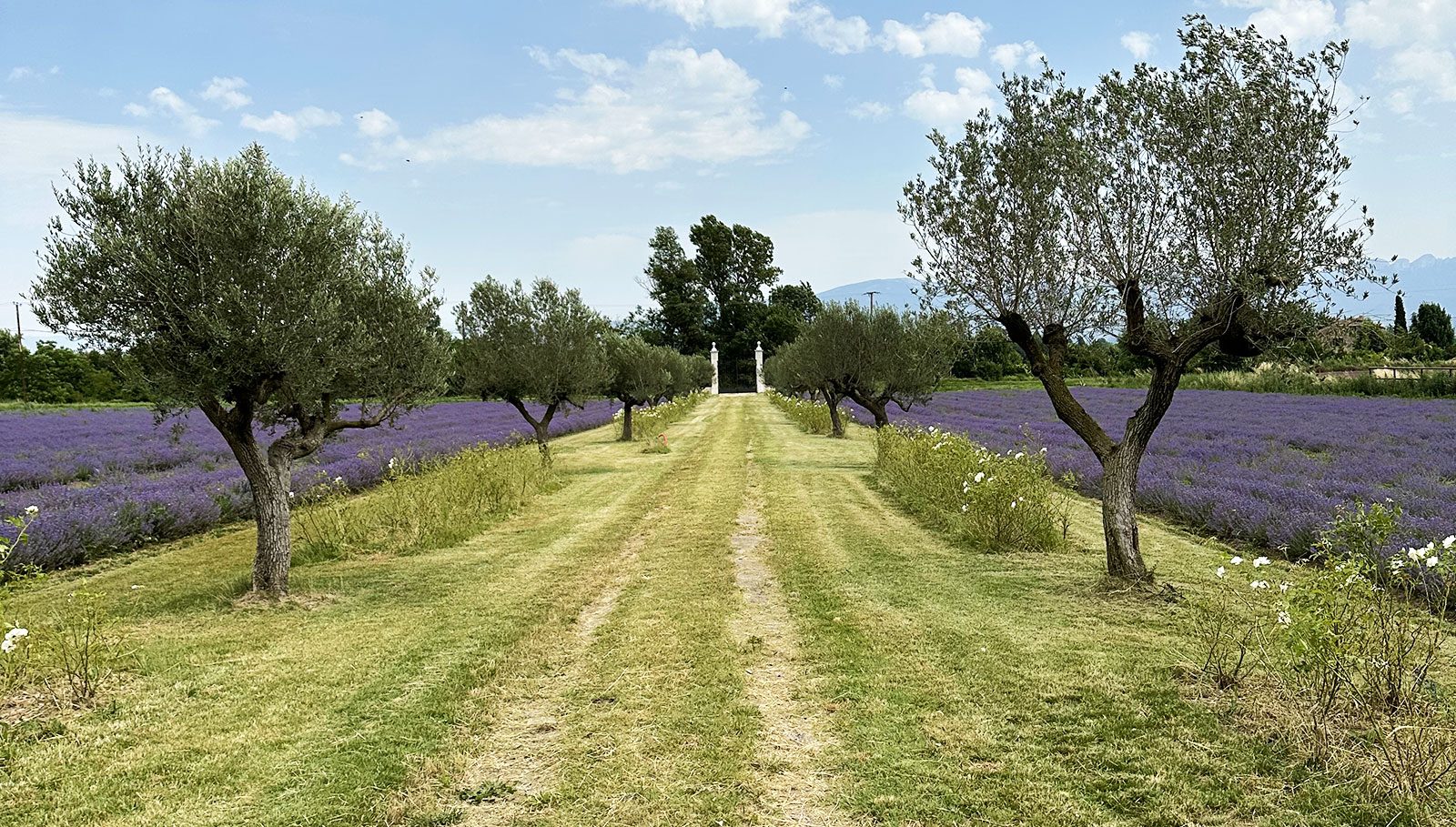 Galerie_le_citadin_4