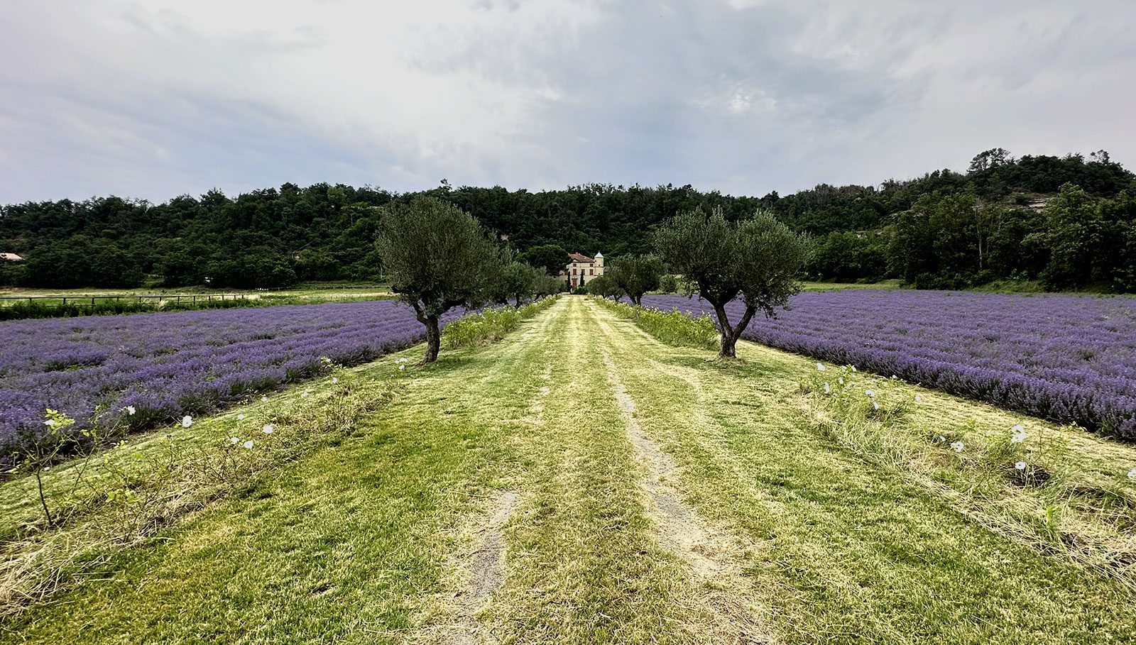 Galerie_le_citadin_5