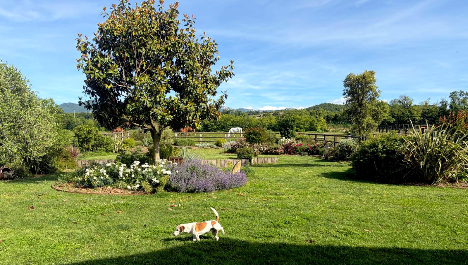 alacampagne3